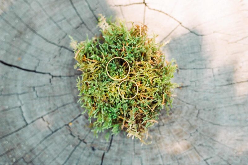 wedding-rings-on-moss-natural