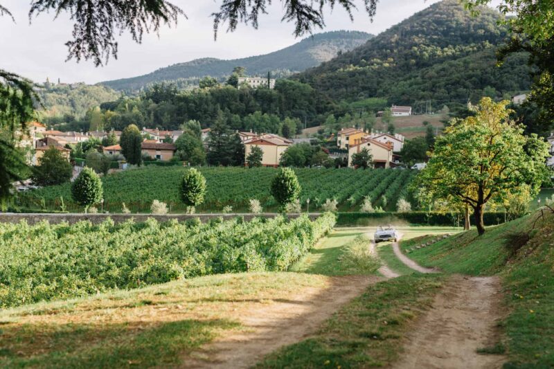 villa dei vescovi wedding