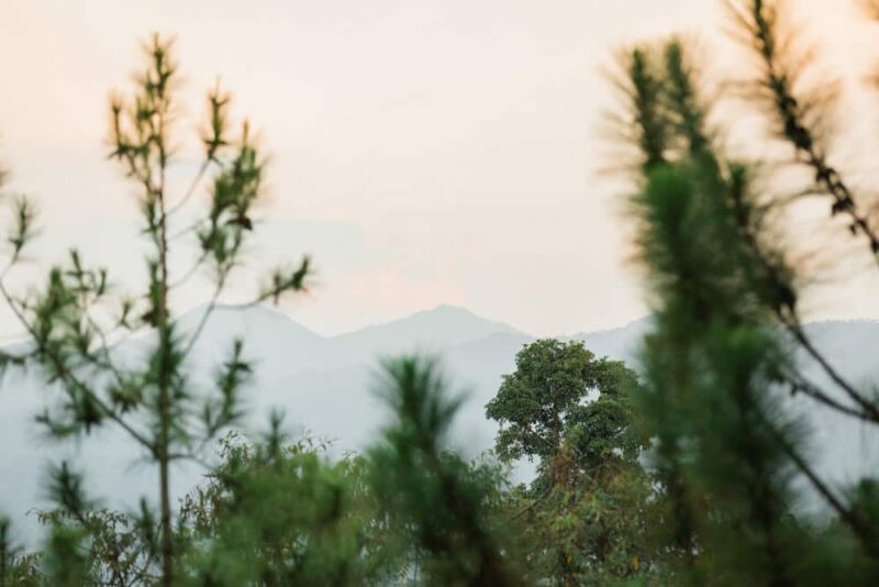bukit tinggi malaysia