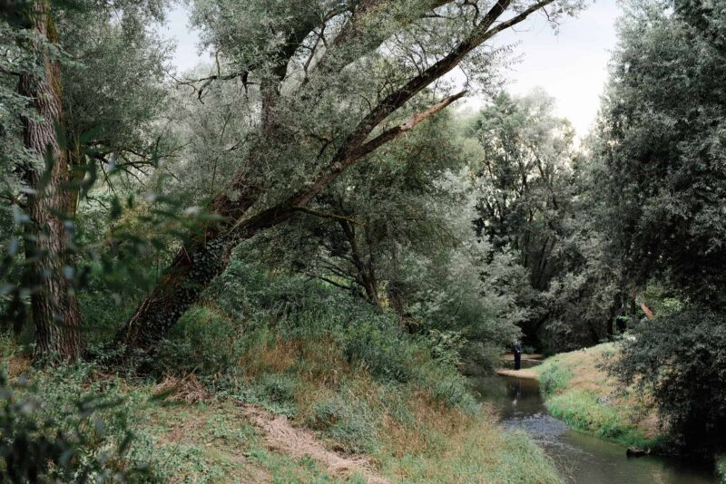 Anikopeterwedoverre 1