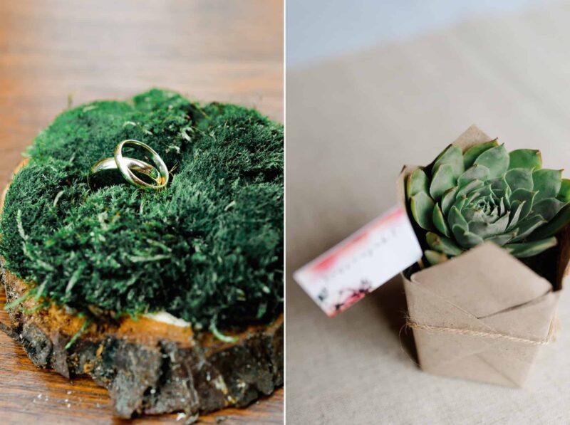 Anikopeterwedoverre 6