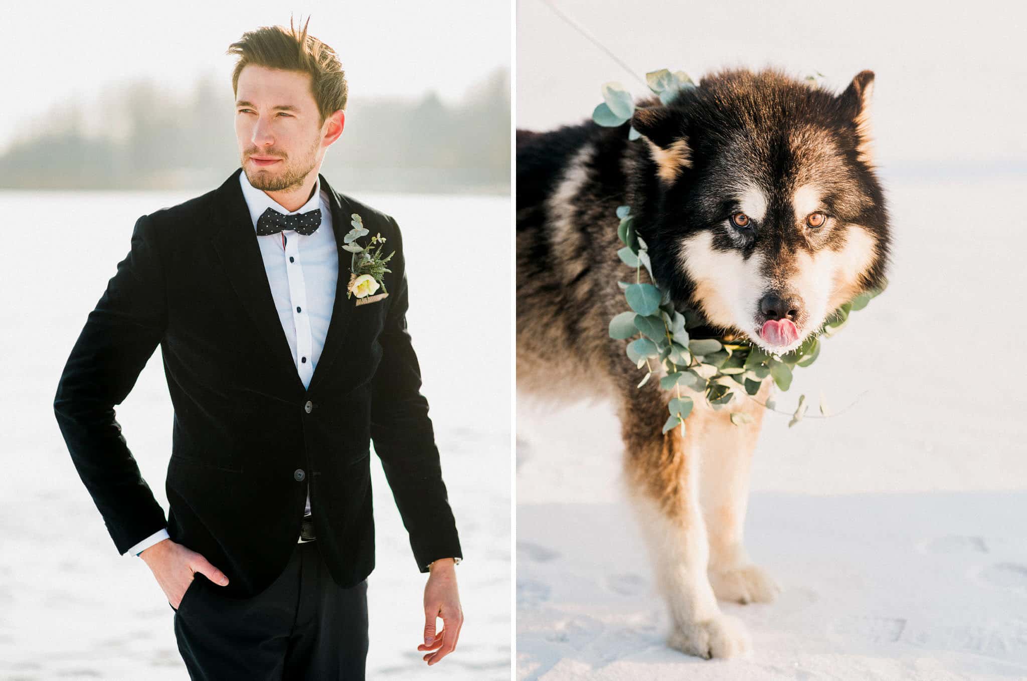 11_wedoverhills_elegant_groom_swiss_inpiration_malamut