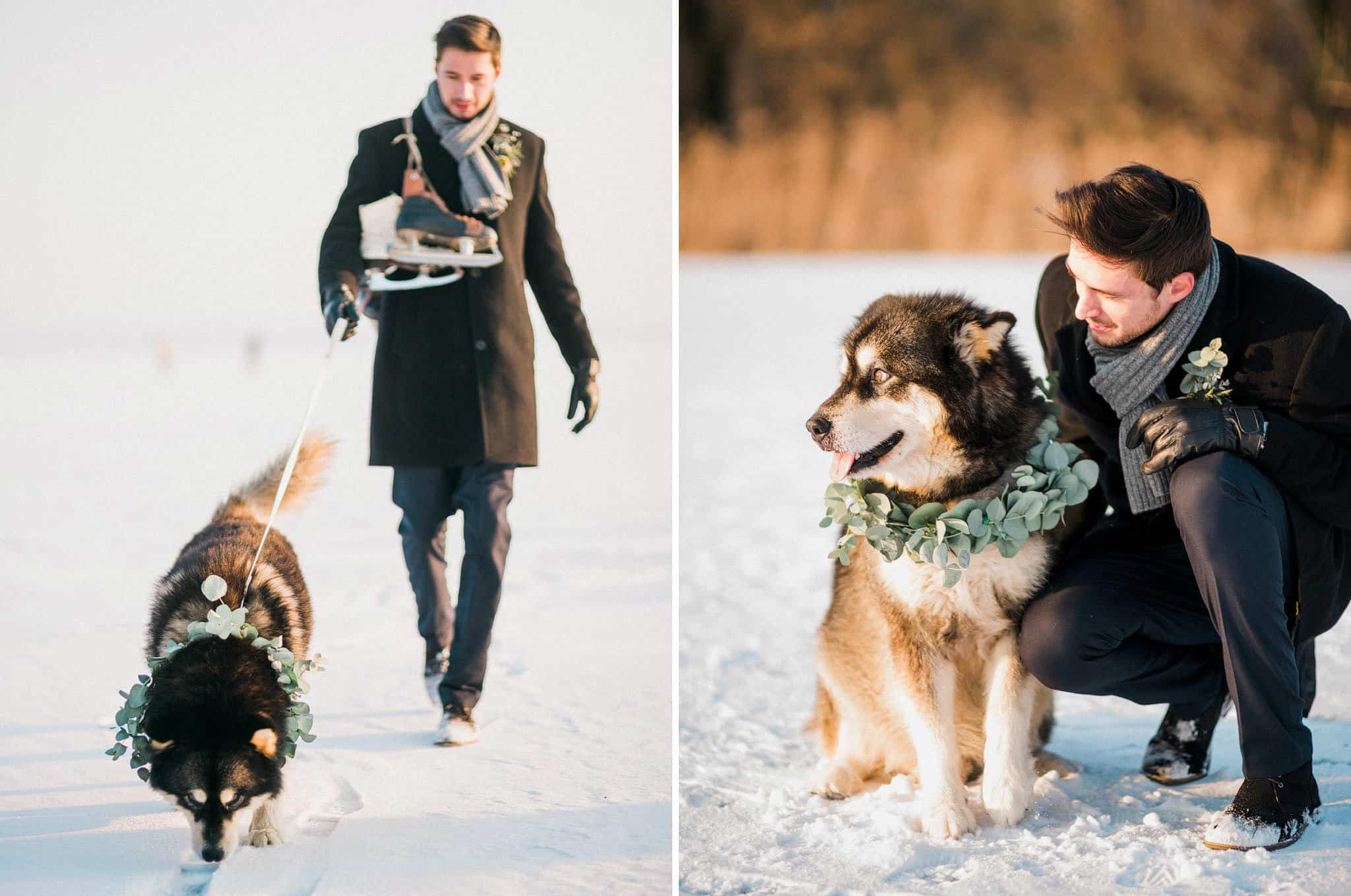 35_wedoverhills_man_walking_dog_with_skates