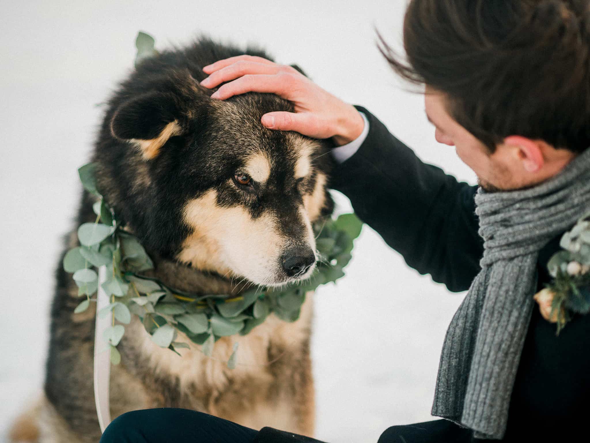 60_wedoverhills_petting_a_malamut