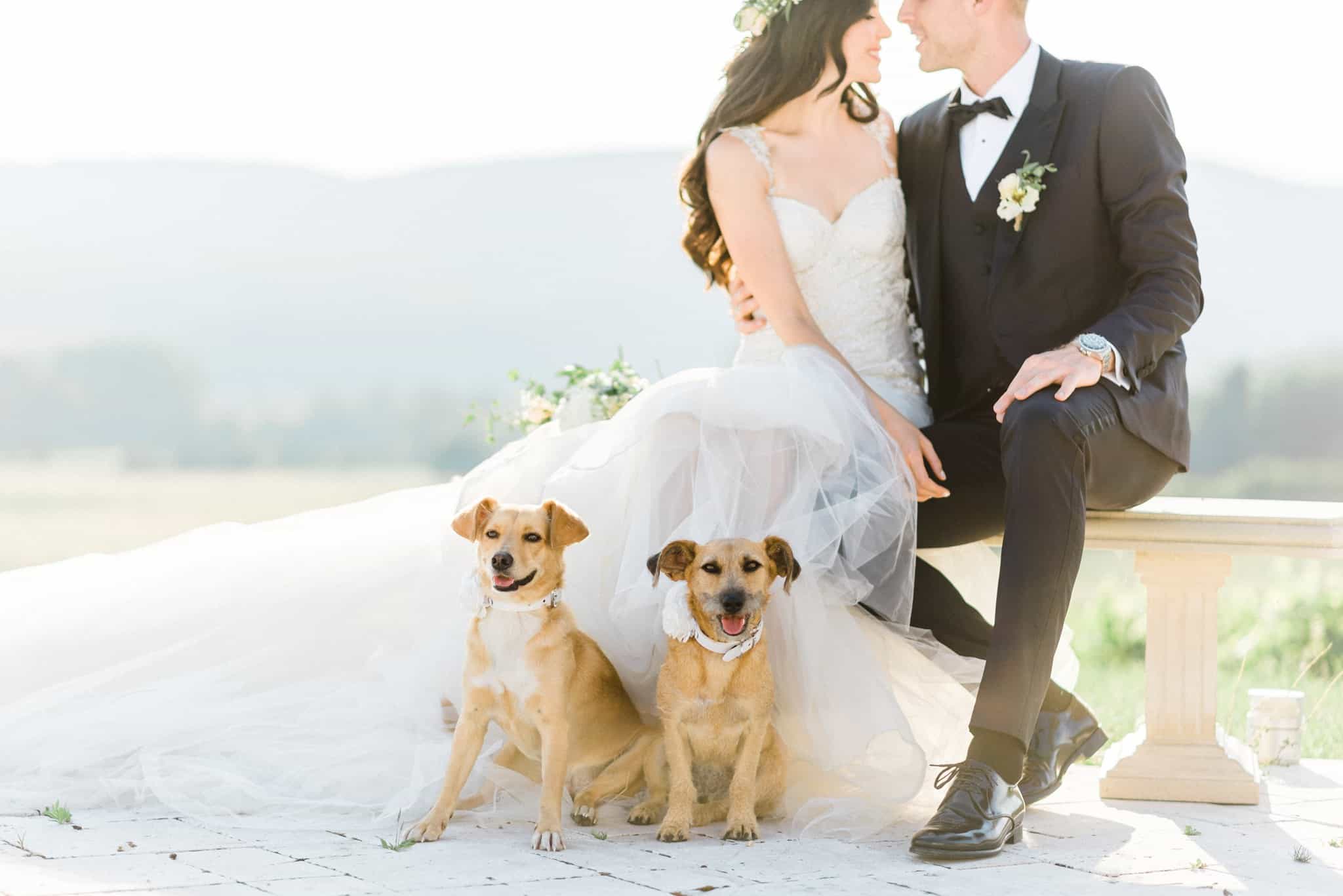 Wedoverhills_Prewedding_Fineart_Film_Photographers_Europe_0030