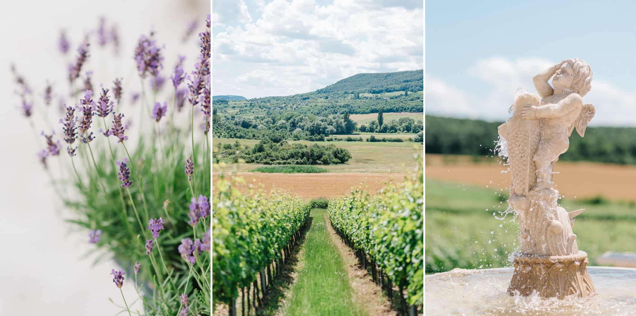 Wedoverhills_Prewedding_Liszkay_0003