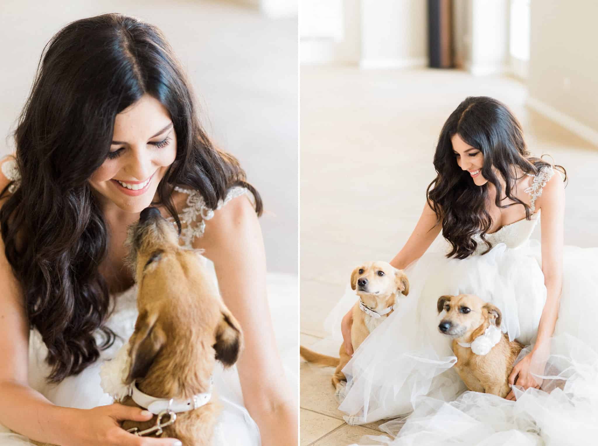Wedoverhills_Wedding_Bride_With_Dogs_0012