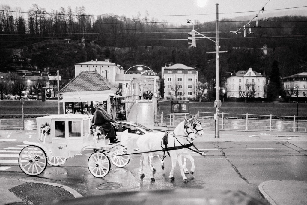 Salzburg Horses